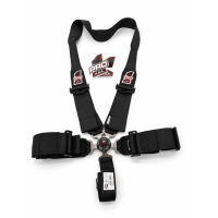 Cam Lock Seat Belts for Dragster (HANS Compatible)