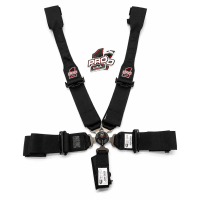 Cam Lock Seat Belts for Door Car (HANS Compatible) Cam Lock Seat Belts for Door Car (HANS Compatible)