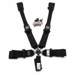 Cam Lock Seat Belts for Door Car (HANS Compatible) Cam Lock Seat Belts for Door Car (HANS Compatible)