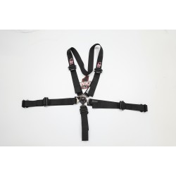 Pro Elite Cam Lock Safety 2'' Harness Seat Belts - Dragster