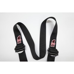 Pro Elite Cam Lock Safety 2'' Harness Seat Belts - Dragster